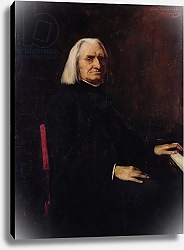Постер Мункачи Михай Portrait of Franz Liszt 1886