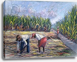 Постер Мюррелл Карлтон Sugarcane Harvest, 1986