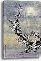 Постер Ветка цветущей сливы 6