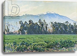Постер Виндфорс Гуннар The Sierra Nevada Mountains