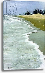 Постер Уиллис Тилли (совр) The Beach, 2004