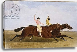 Постер Херринг Джон Satirist with William Scott Up Beating Coronation with John Day Up - The St. Leger 1841