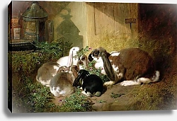 Постер Херринг Джон A lop-eared doe rabbit with her young