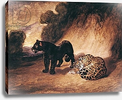 Постер Барье Антуан Two Jaguars from Peru