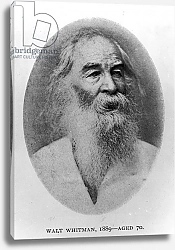Постер Американский фотограф Walt Whitman, photographed in 1889