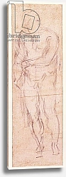 Постер Микеланджело (Michelangelo Buonarroti) Study for Adam in 'The Expulsion', 1508-12