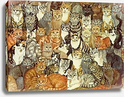 Постер Дитц (совр) Cat-Spread