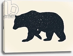 Постер Бодарт Флорент (совр) Bear