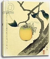 Постер Хокусай Кацушика Moon, Persimmon and Grasshopper, 1807
