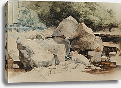 Постер Блэклок Уильям Rocks in a Mountain Stream, 1840-58