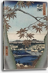 Постер Утагава Хирошиге (яп) Maple leaves and the Tekona Shrine, and the Bridge at Mama, from the series 'One Hundred Views of Famous Places in Edo'