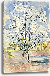 Постер Ван Гог Винсент (Vincent Van Gogh) Цветущие персиковые деревья, 1888