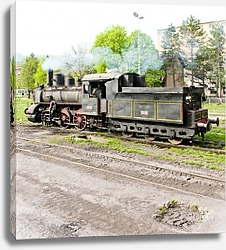 Постер Паровой локомотив, Ресавица, Сербия