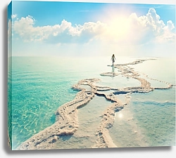 Постер Силуэт женщины, идущей на берегу Мертвого моря в сторону солнца