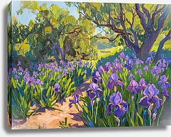 Постер Clearing of purple irises