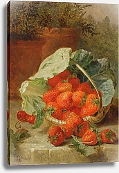 Постер Стэннард Элоиза Strawberries in a cabbage leaf, 1891