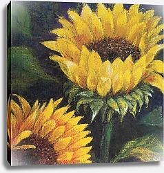 Постер Старкей Марго (совр) Sunflowers, 2016
