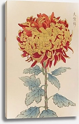 Постер Хасегава Кейка Keika hyakugiku, Pl.12
