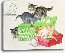 Постер Фристоун Джоан (совр) Four Kittens