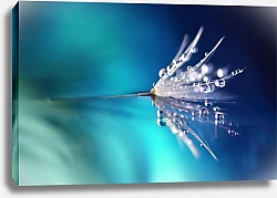 Постер Одуванчик в капельках росы на синем фоне с зеркальным отражением 