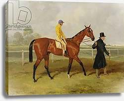 Постер Холл Гарри Sir Tatton Sykes Leading in the Horse 'Sir Tatton Sykes', with William Scott Up, 1846
