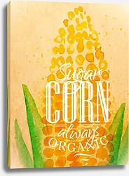 Постер Сахарная кукуруза