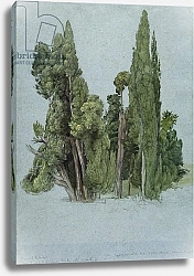 Постер Палмер Самуэль The Cypresses at the Villa d'Este, Tivoli
