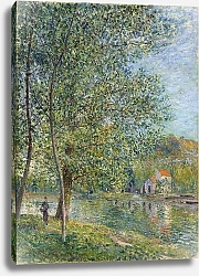 Постер Сислей Альфред (Alfred Sisley) Morning Near the Loing; Matin pres du Loing, 1879
