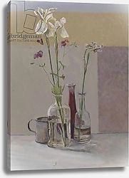 Постер Пэкер Уильям (совр) Tall White Irises, 2009