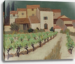 Постер Хайнс Эрик (совр) Vineyard, Provence
