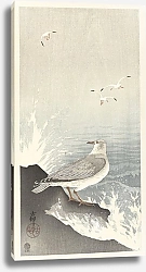Постер Косон Охара Seagull on rock