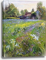 Постер Истон Тимоти (совр) Dwarf Irises and Cottage, 1993