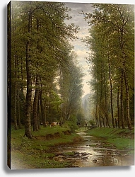 Постер Brook in the Forest