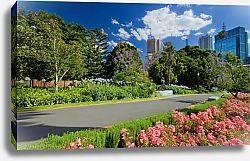 Постер  Сад в Мельбурне, Виктория, Австралия