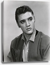 Постер Presley, Elvis 7