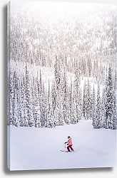 Постер Лыжница в снежном лесу