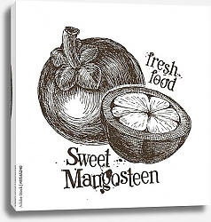 Постер Иллюстрация с мангостином