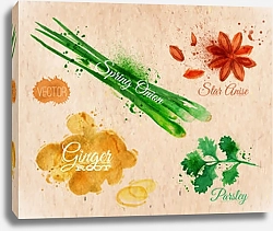Постер Звезда аниса, петрушка, зеленый лук