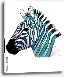 Постер Портрет голубой зебры