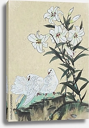Постер Две белых голубки и белый цветок лилии