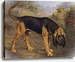 Постер Чевиот Лилиан The Bloodhound Champion Hengist