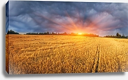 Постер Пшеничное поле на закате