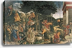 Постер Боттичелли Сандро (Sandro Botticelli) The Youth of Moses, in the Sistine Chapel, 1481