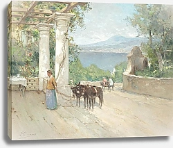 Постер Херманус Поль Дама с мулами на террасе