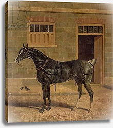 Постер Херринг Джон A Carriage Horse in a Stable Yard