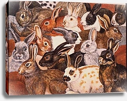 Постер Дитц (совр) Rabbit-Spread