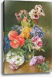 Постер Холланд Джеймс Roses, Poppy and Pelargonia