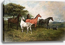 Постер Эммс Джон Mares and Foal with a Sheepdog
