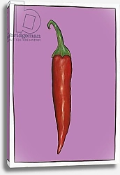 Постер Томпсон-Энгельс Сара (совр) Chilli pepper purple