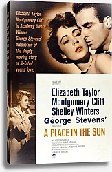 Постер Poster - A Place In The Sun 2